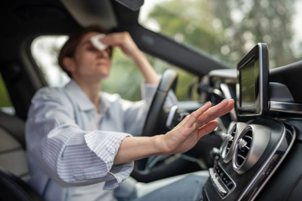 Best Air Conditioning Repair  in Wallace, FL